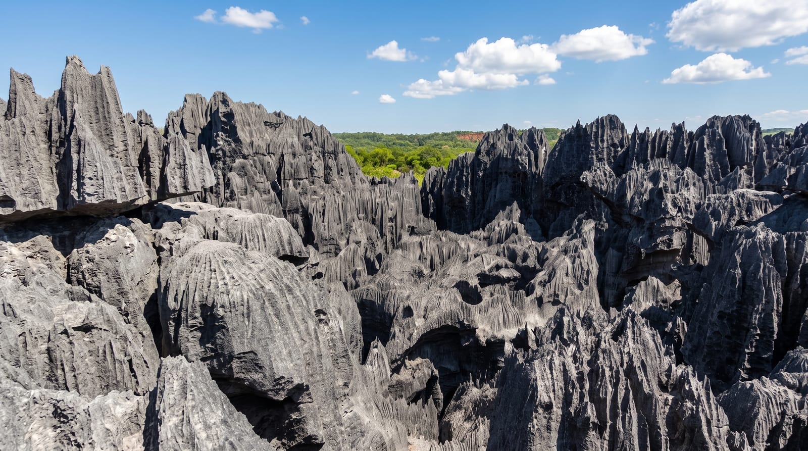 Tsingy de Bemaraha