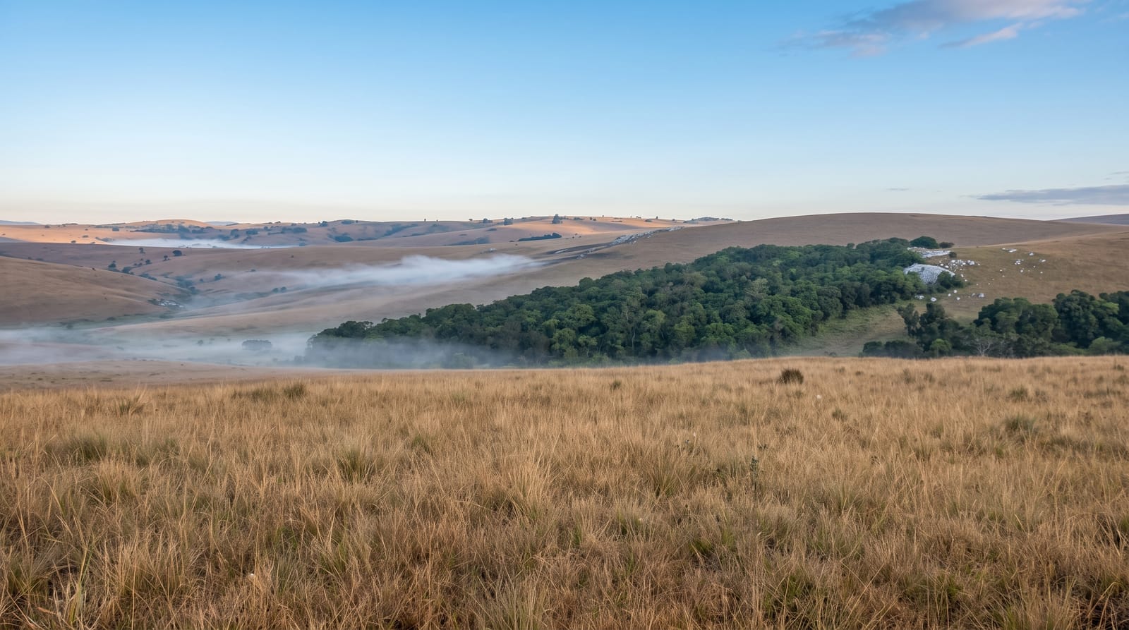 Nyika Plateau
