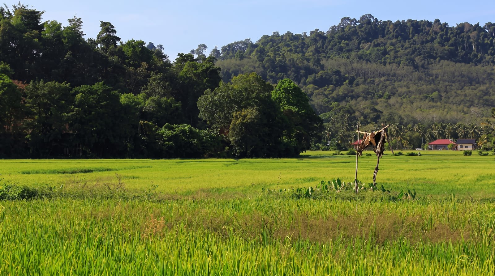 Langkawi