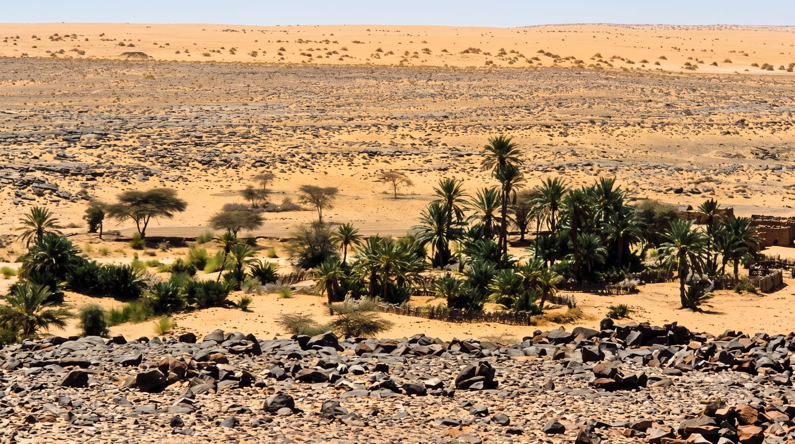 The Adrar Desert and Oases