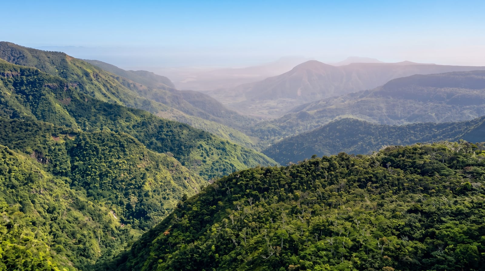 Black River Gorges National Park