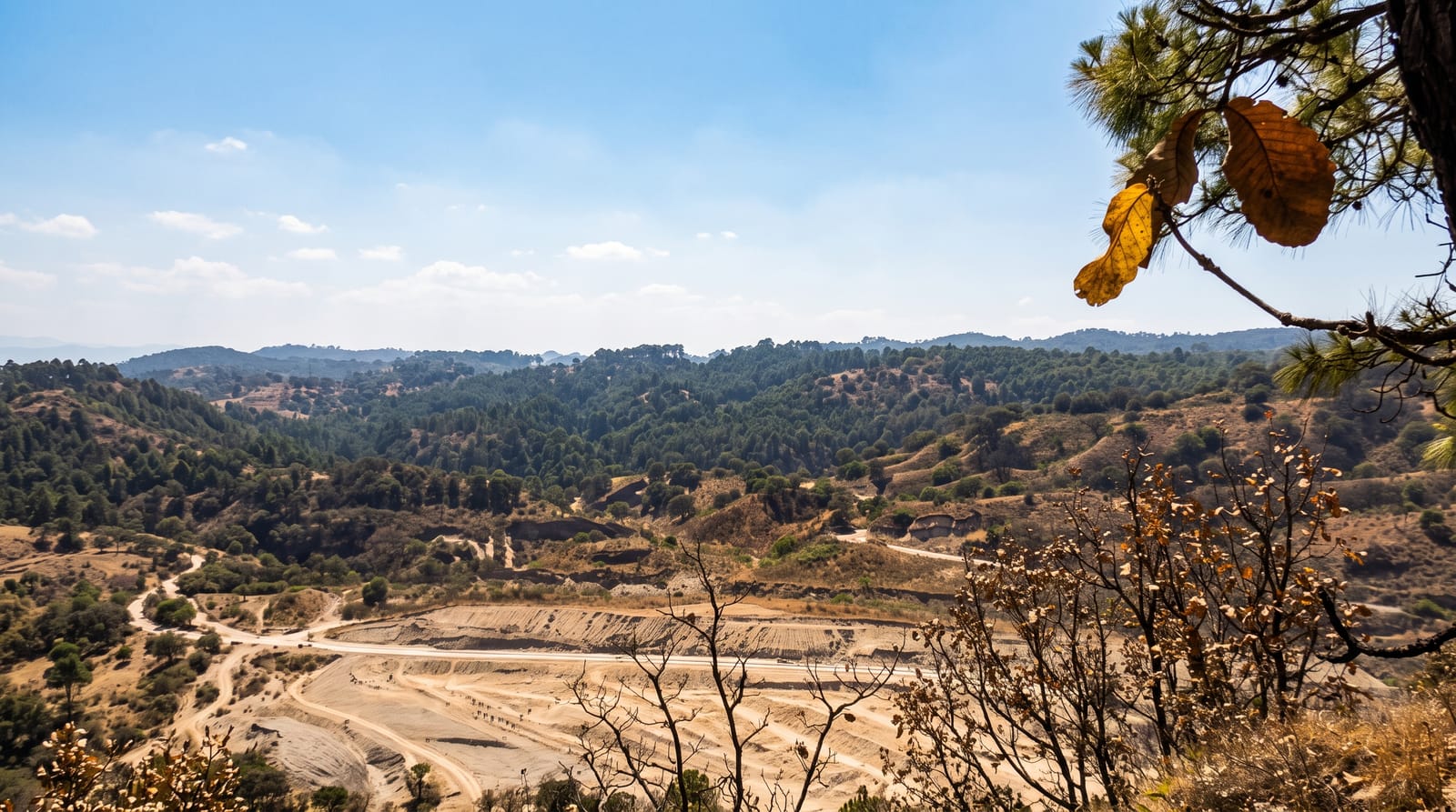 Bosque La Primavera