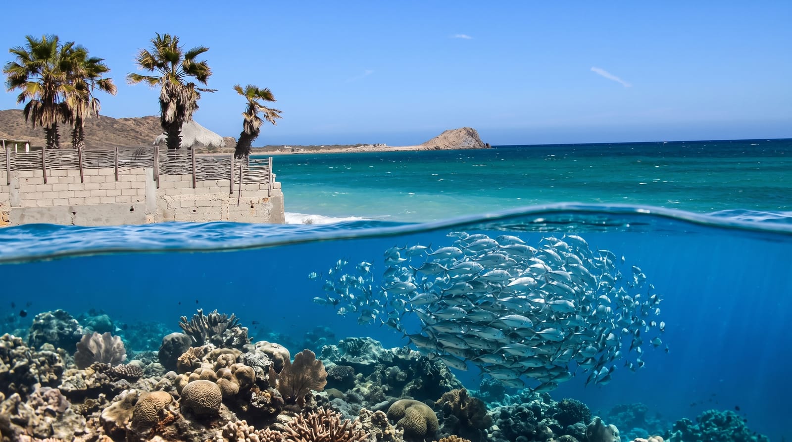 Cabo Pulmo