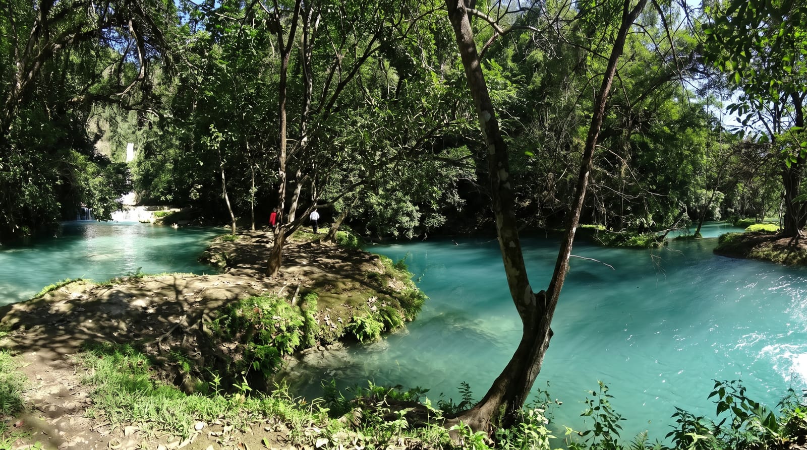 Cascadas de Micos
