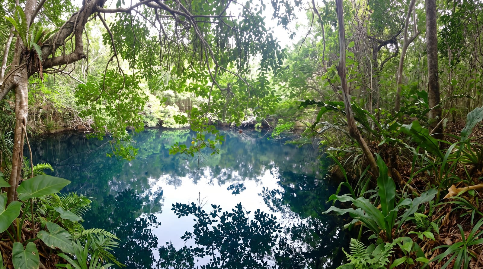 Cenote Angelita