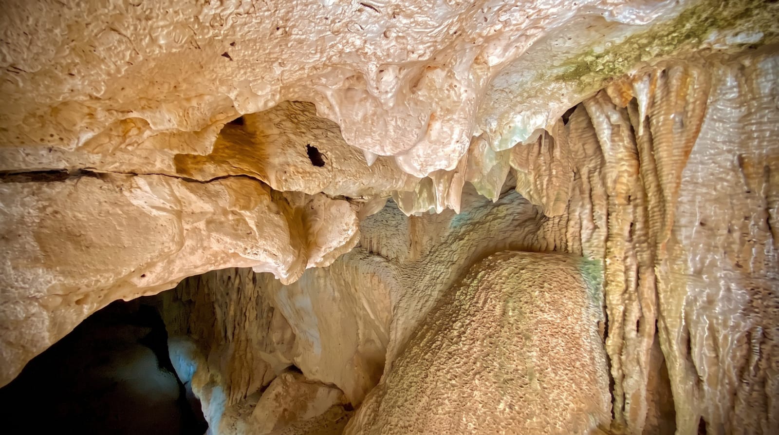 Cenotes of Homun