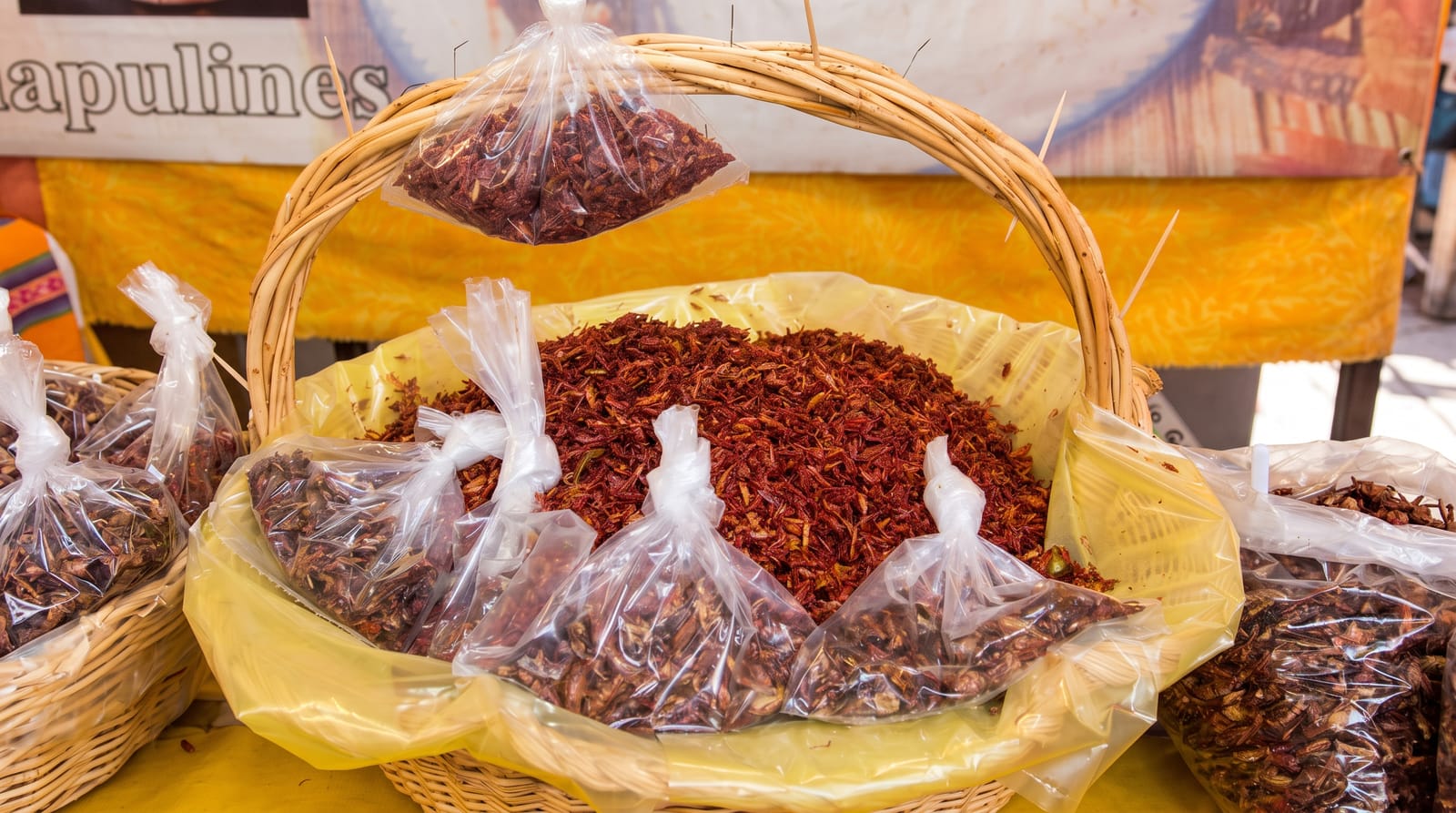 Chapulines