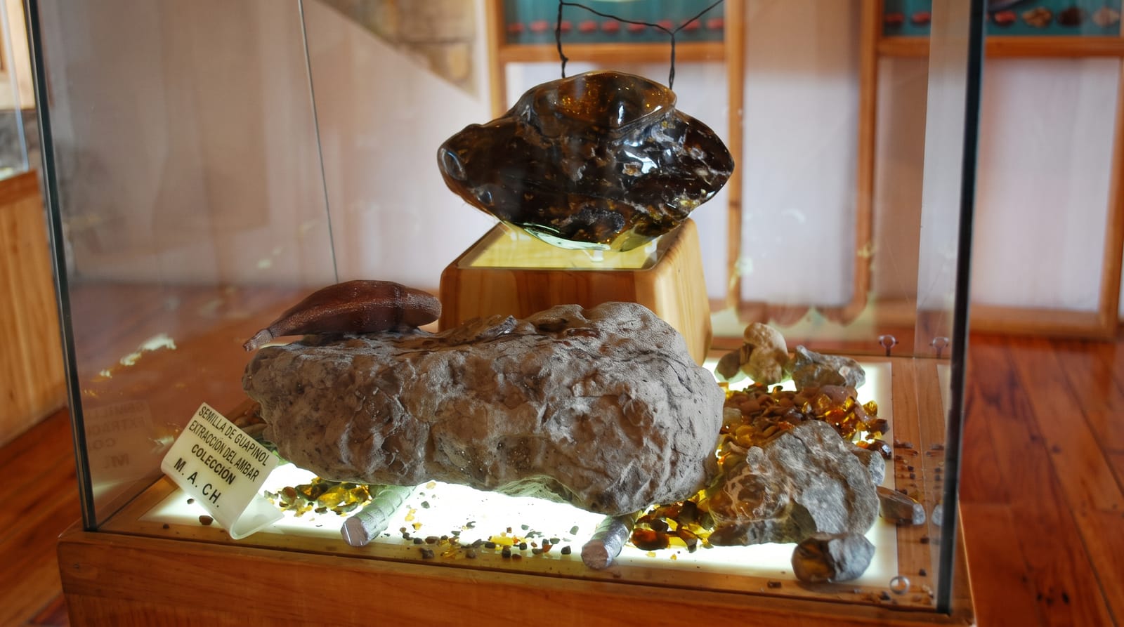 Chiapas Amber