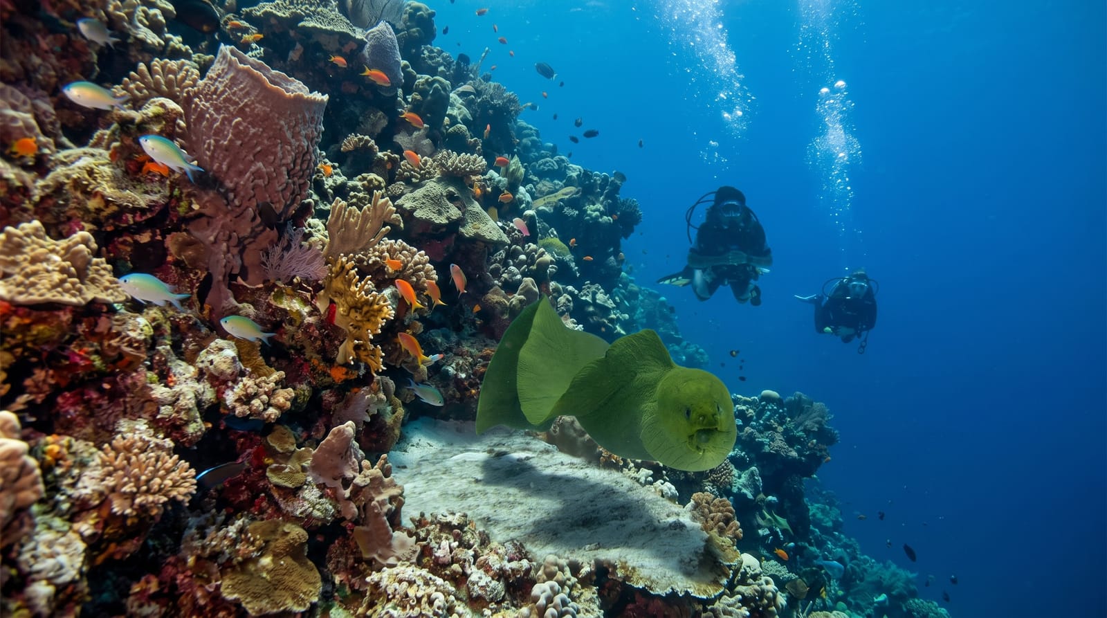 Cozumel