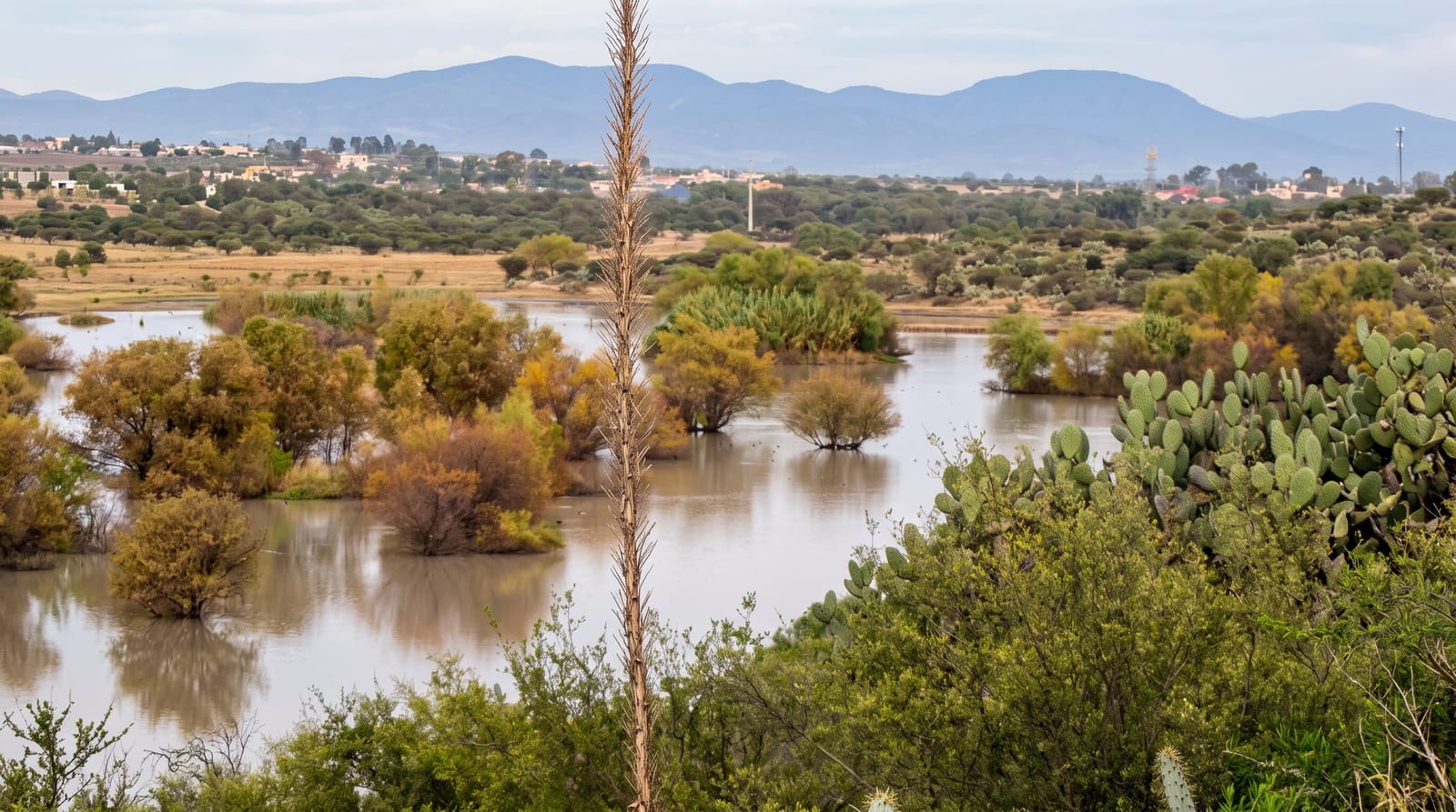 El Charco del Ingenio
