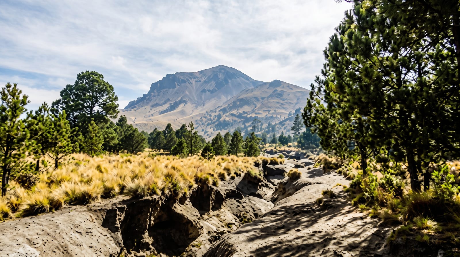 La Malinche