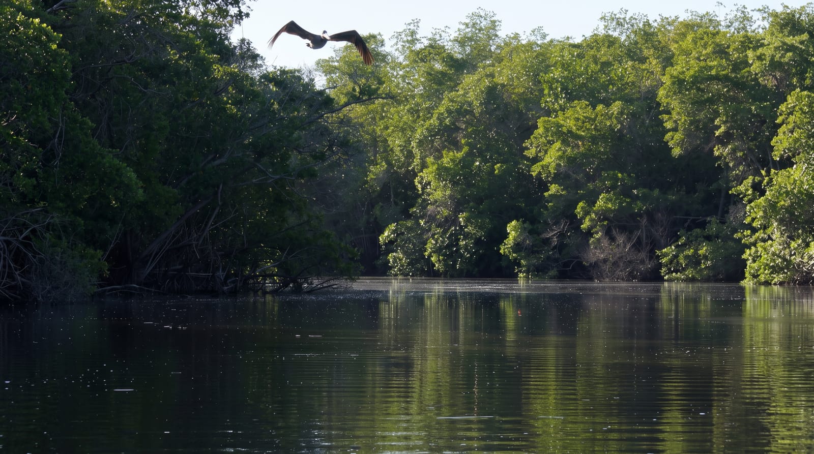Laguna de Manialtepec