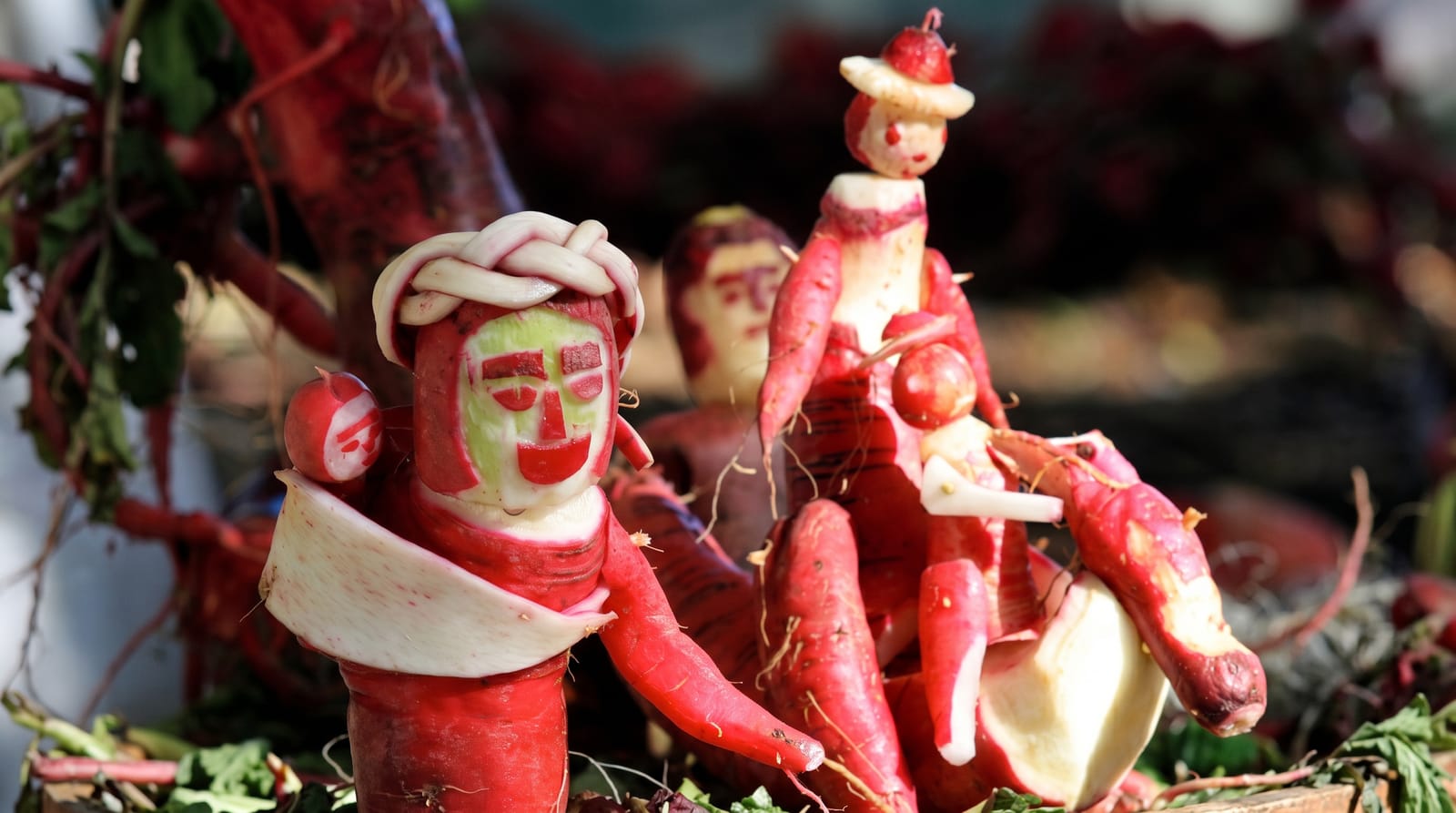 Night of the Radishes