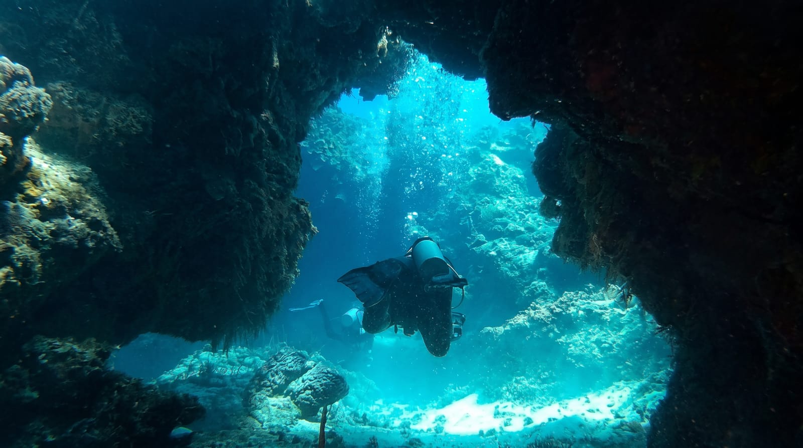 Palancar Reef