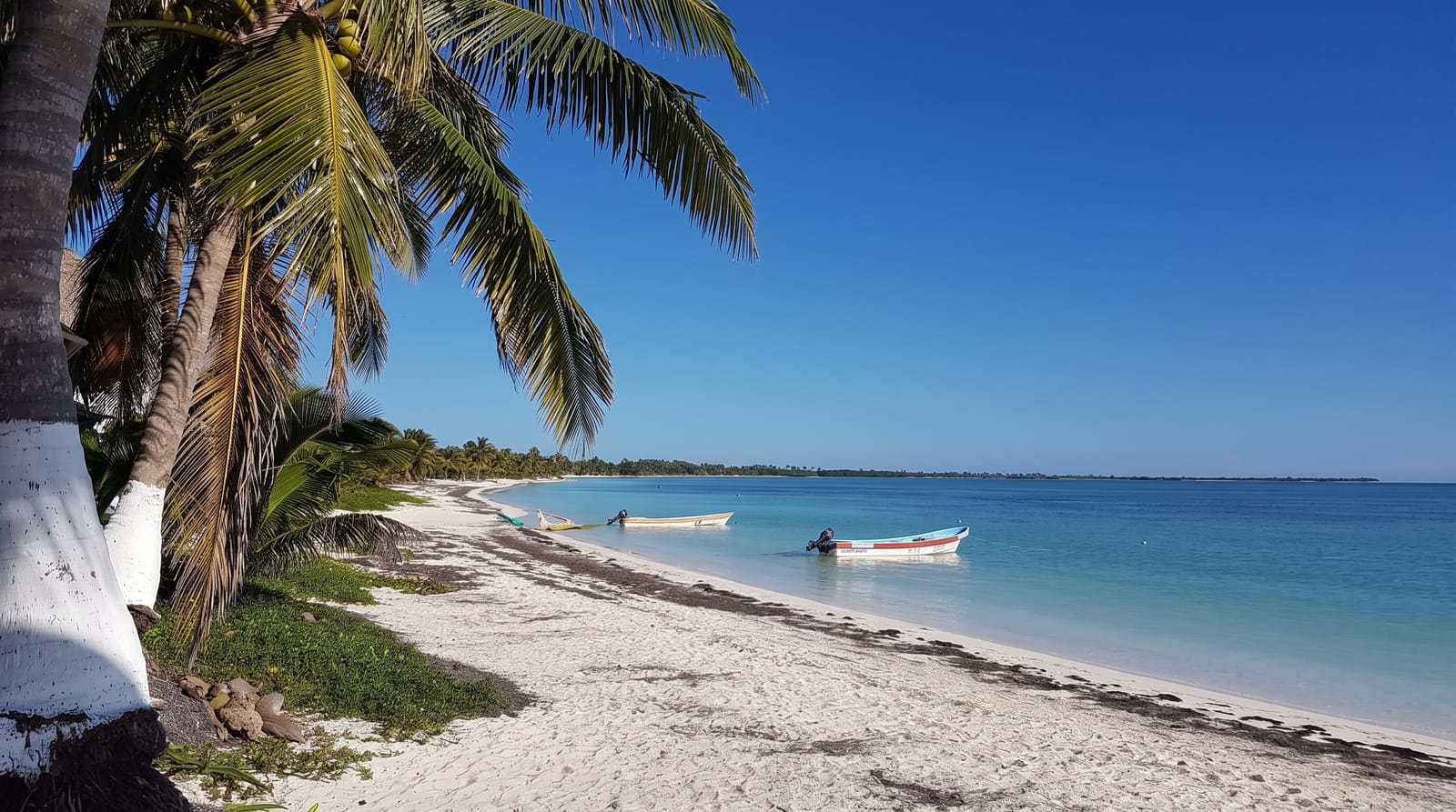 Punta Allen