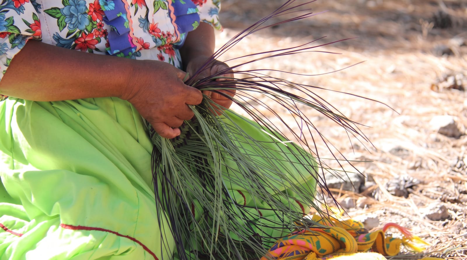 Raramuri Crafts