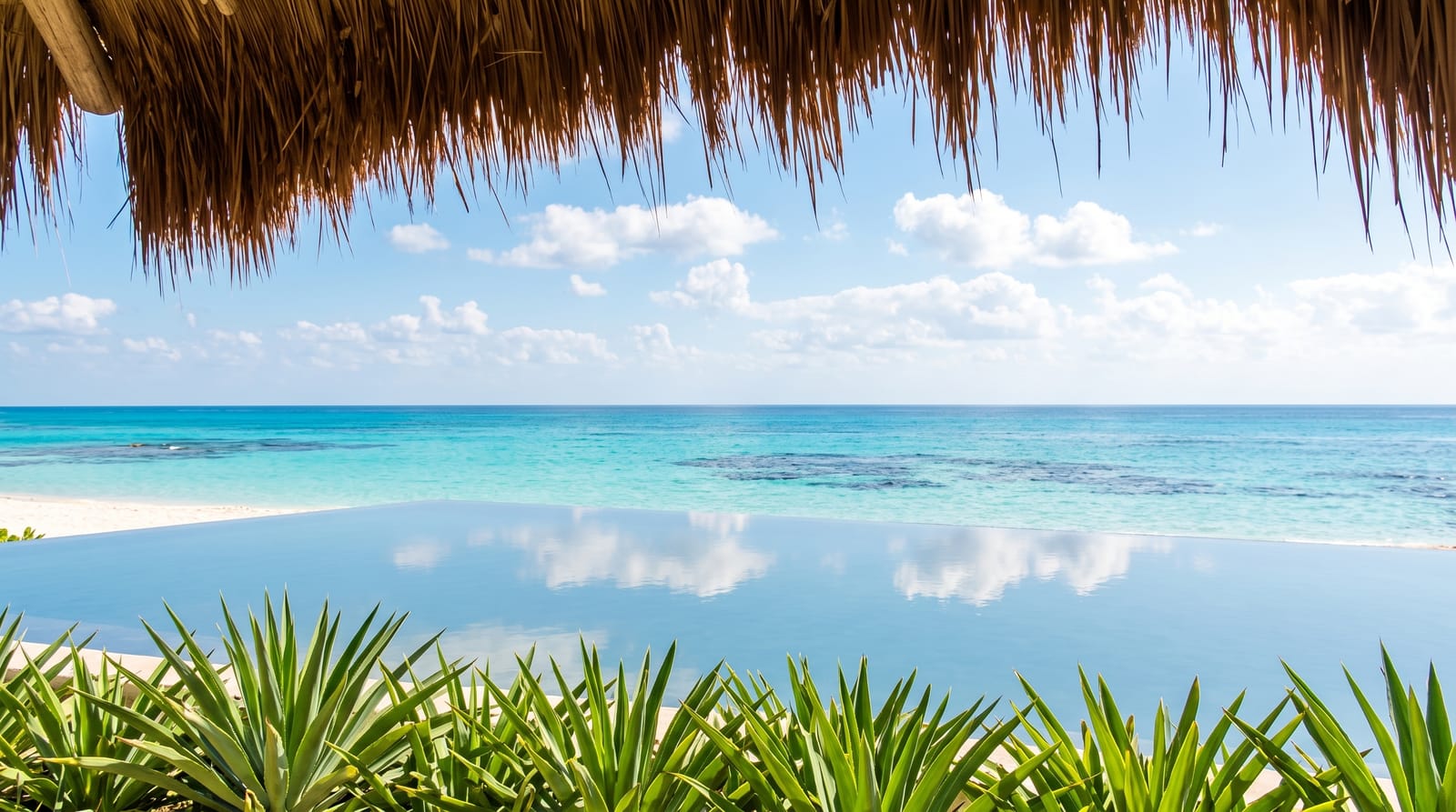 The Riviera Maya