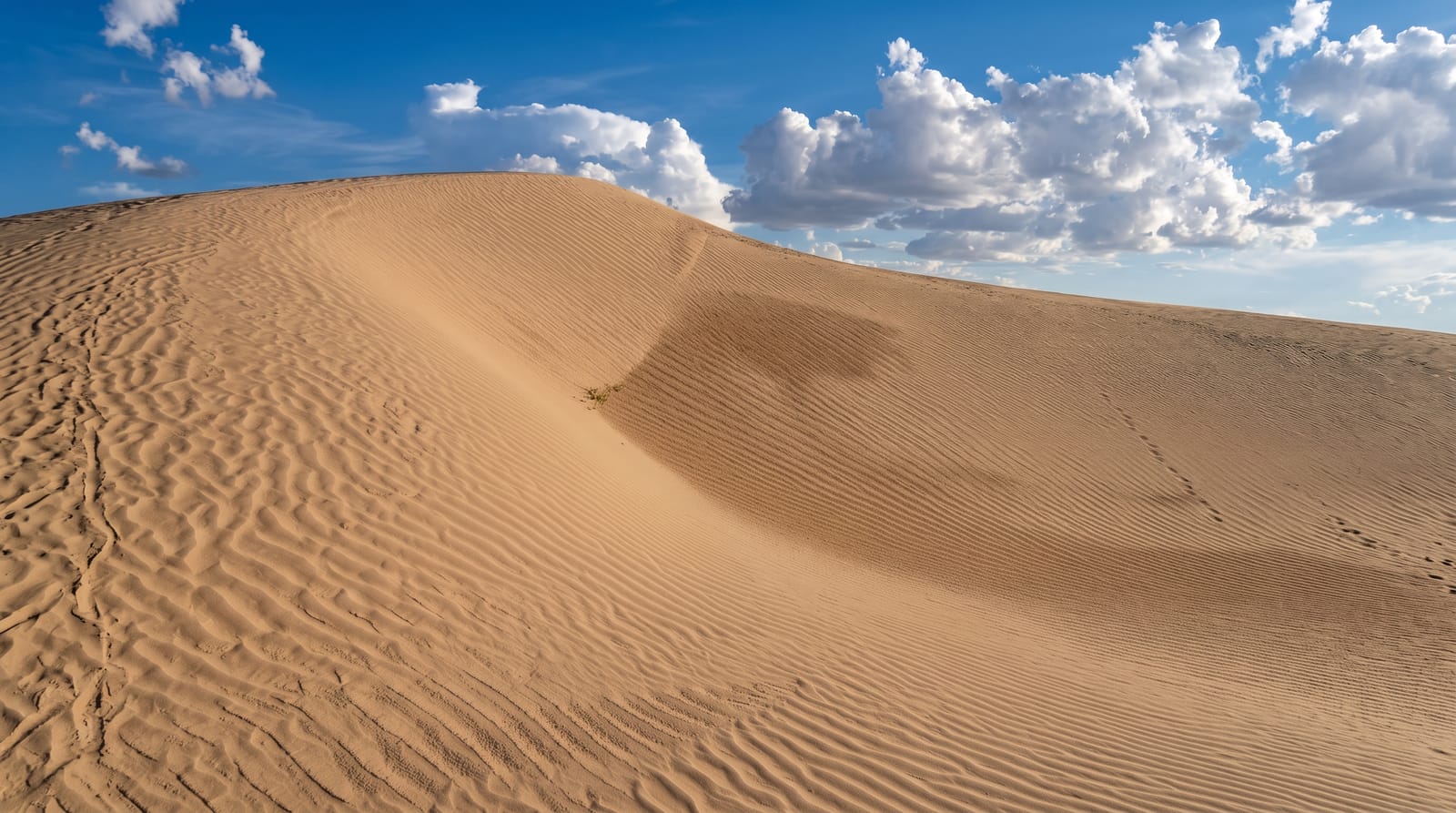 Samalayuca Dunes