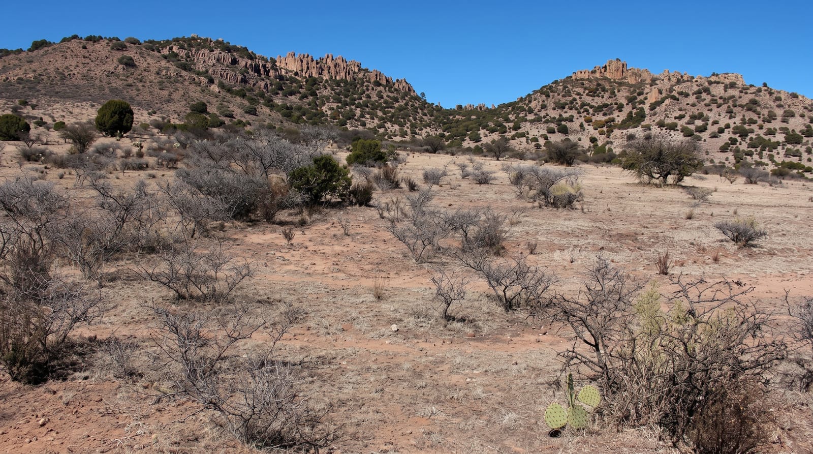 Sierra de Organos