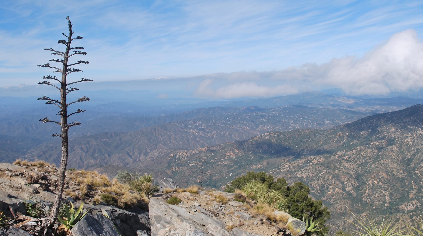 Sierra la Laguna