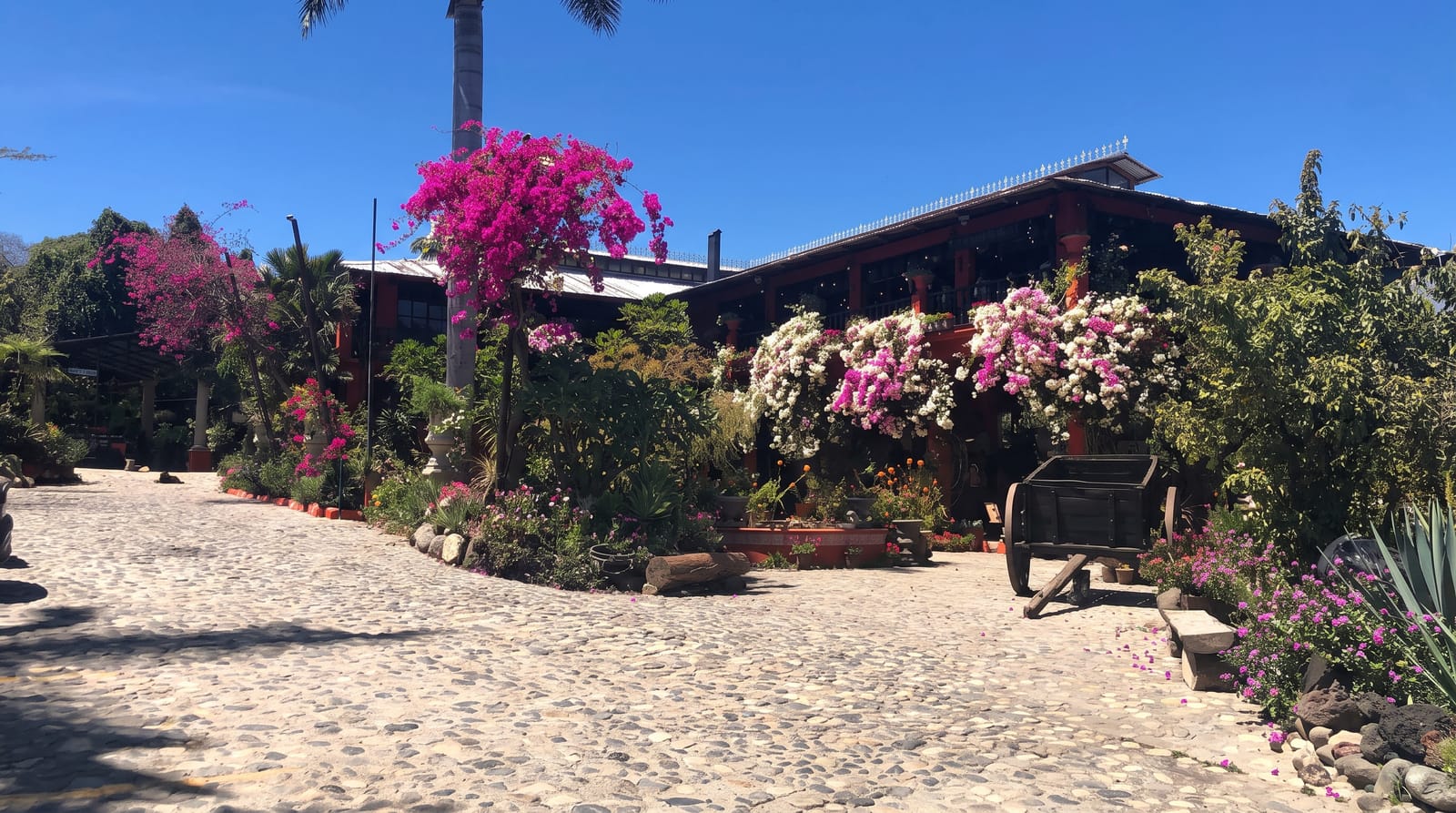 Vallarta Botanical Garden