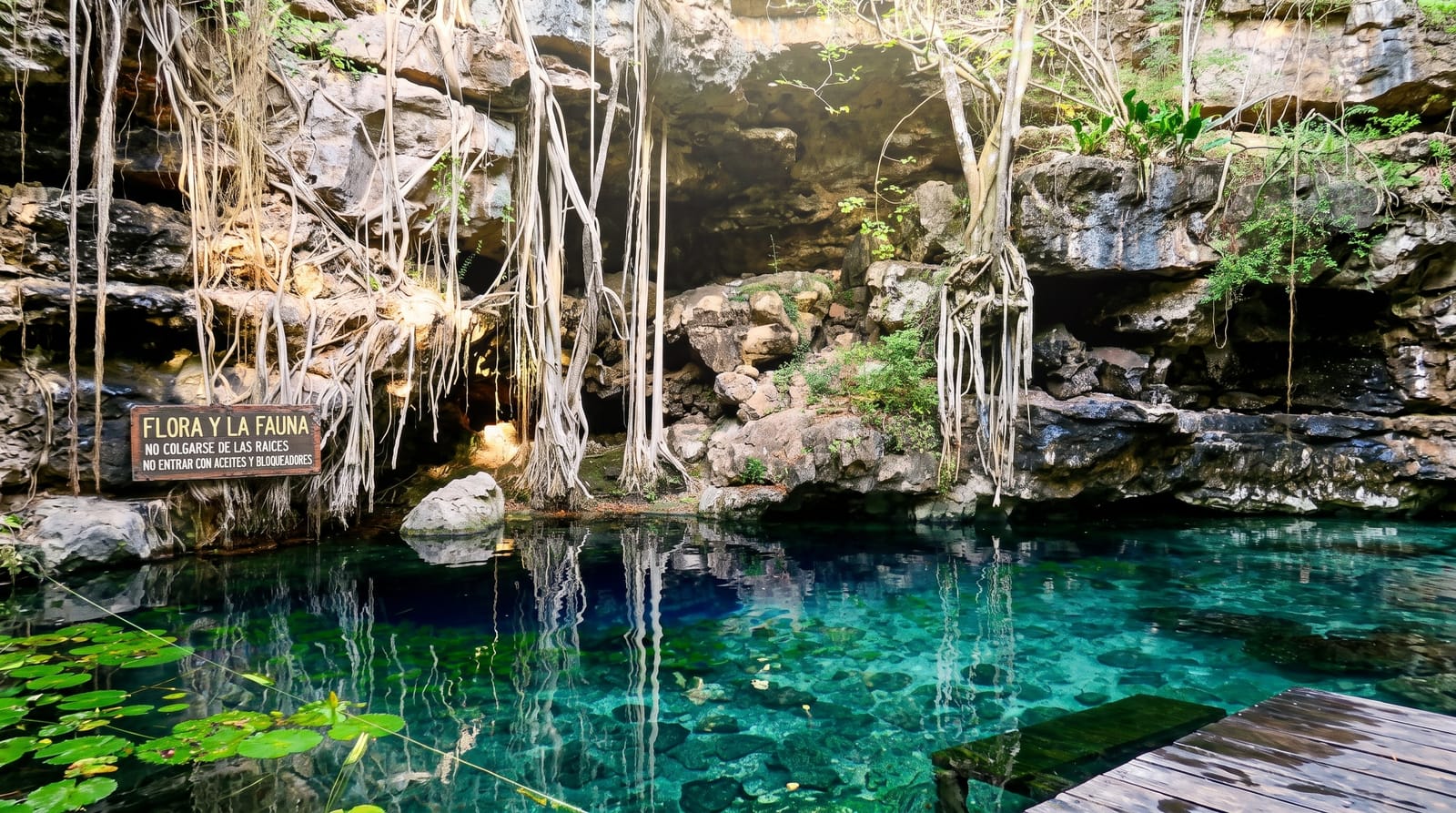The Yucatan Cenotes