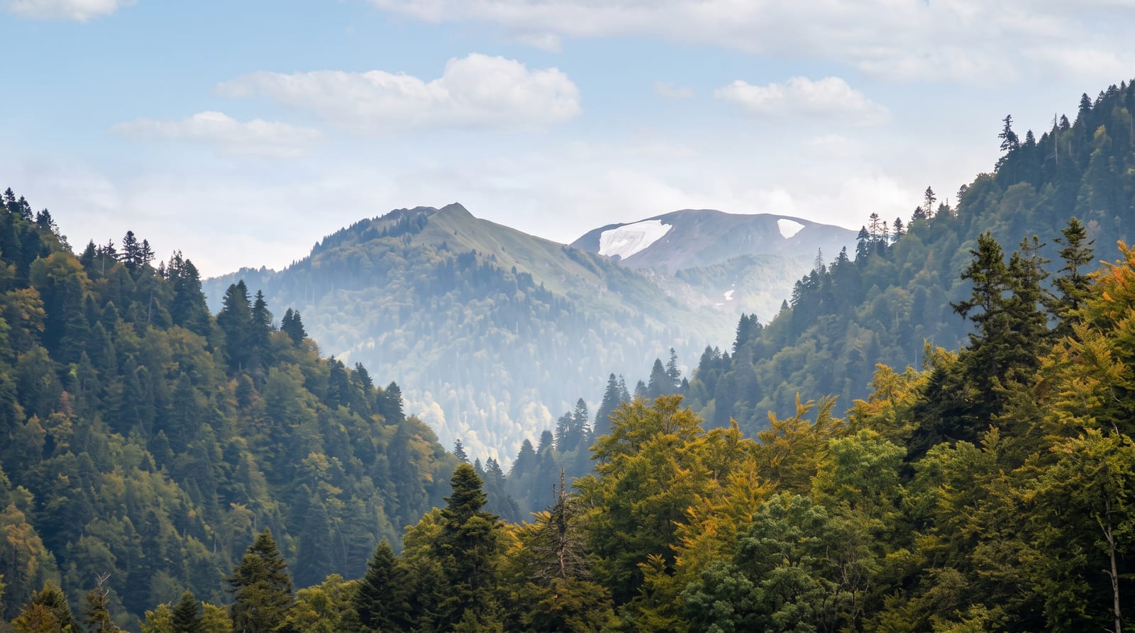 Biogradska Gora