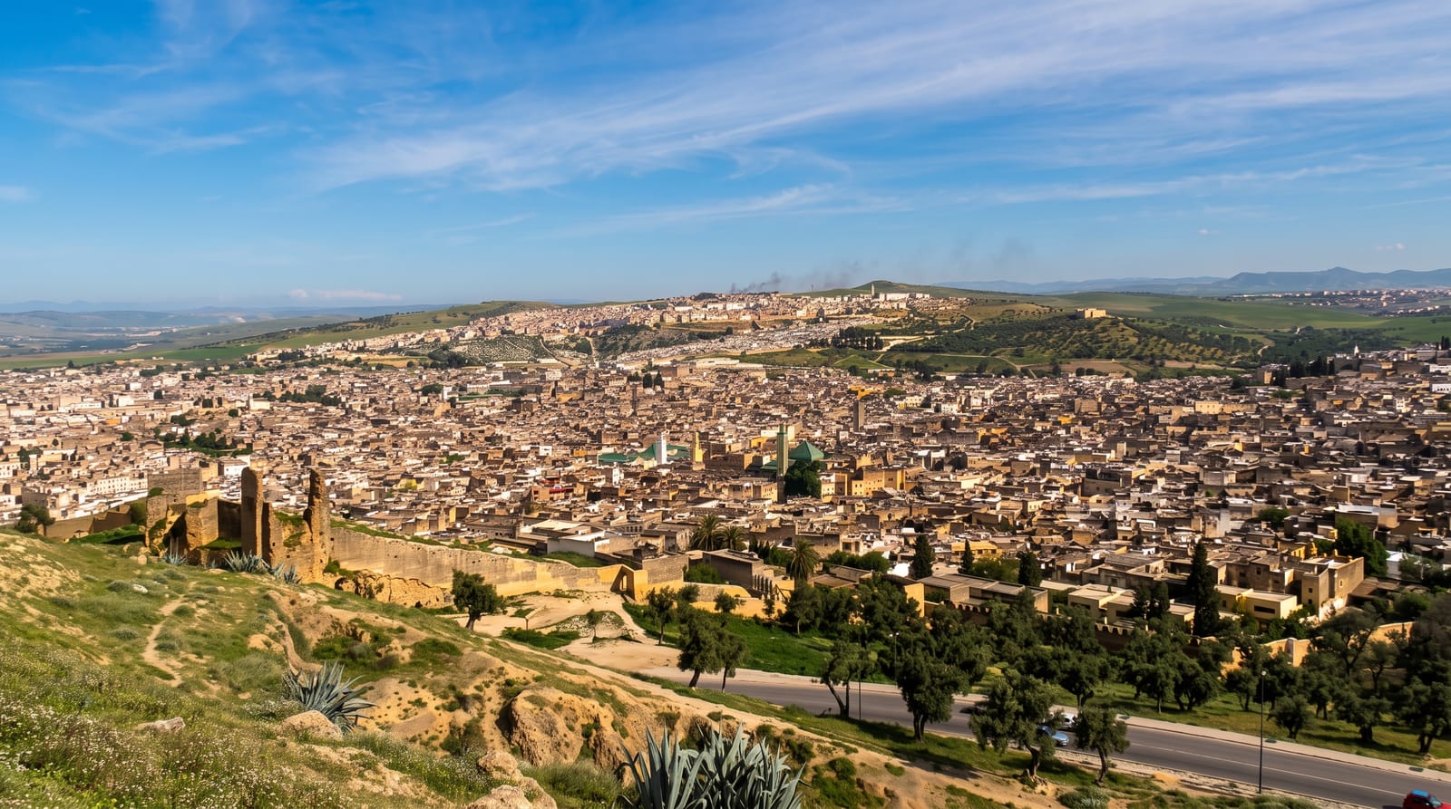 The Fes Medina
