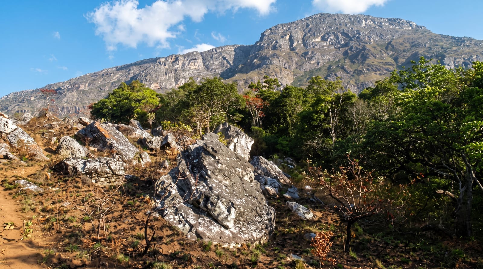 The Chimanimani Mountains