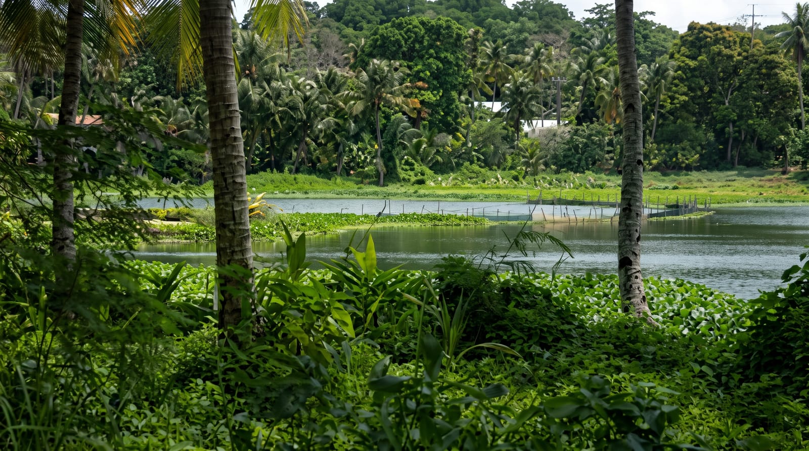 Buada Lagoon