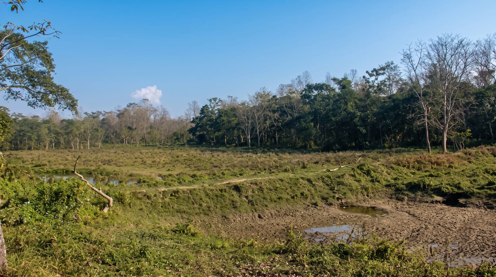 Chitwan National Park