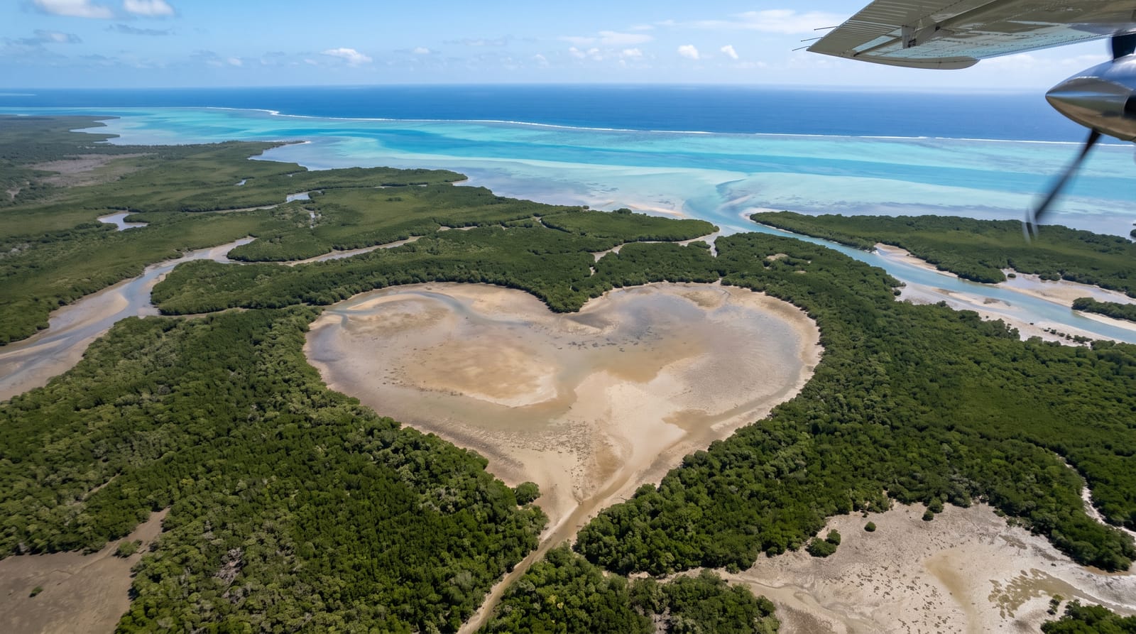 The Heart of Voh