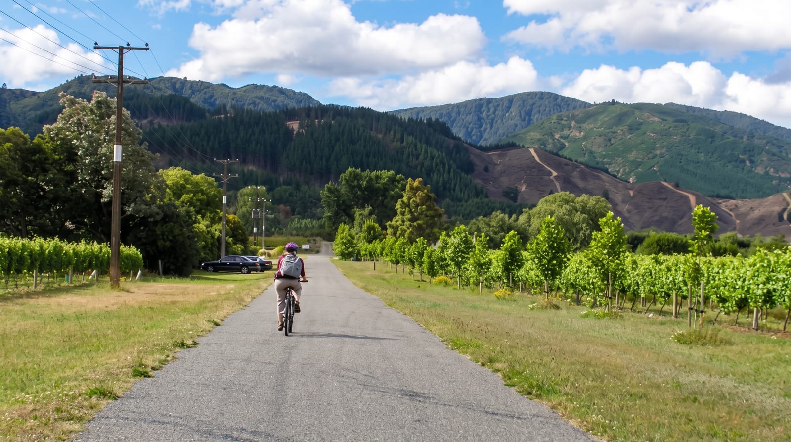 Marlborough Wine Region