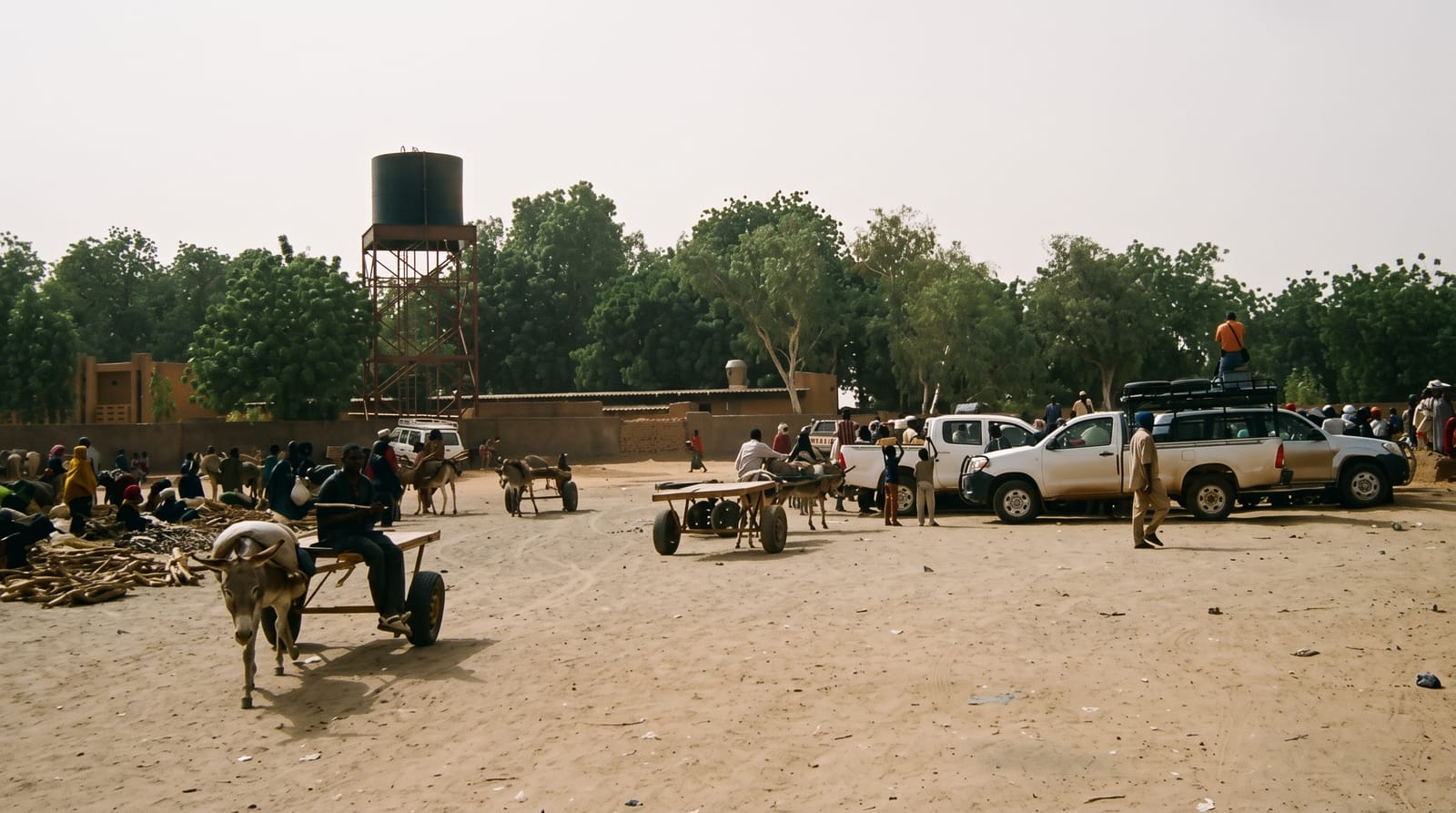 Ayorou's River Market
