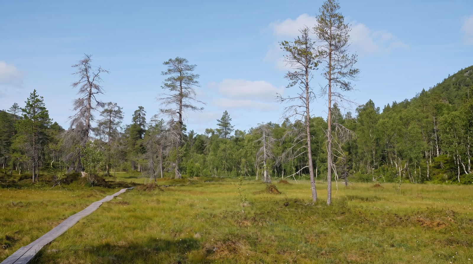 Anderdalen National Park