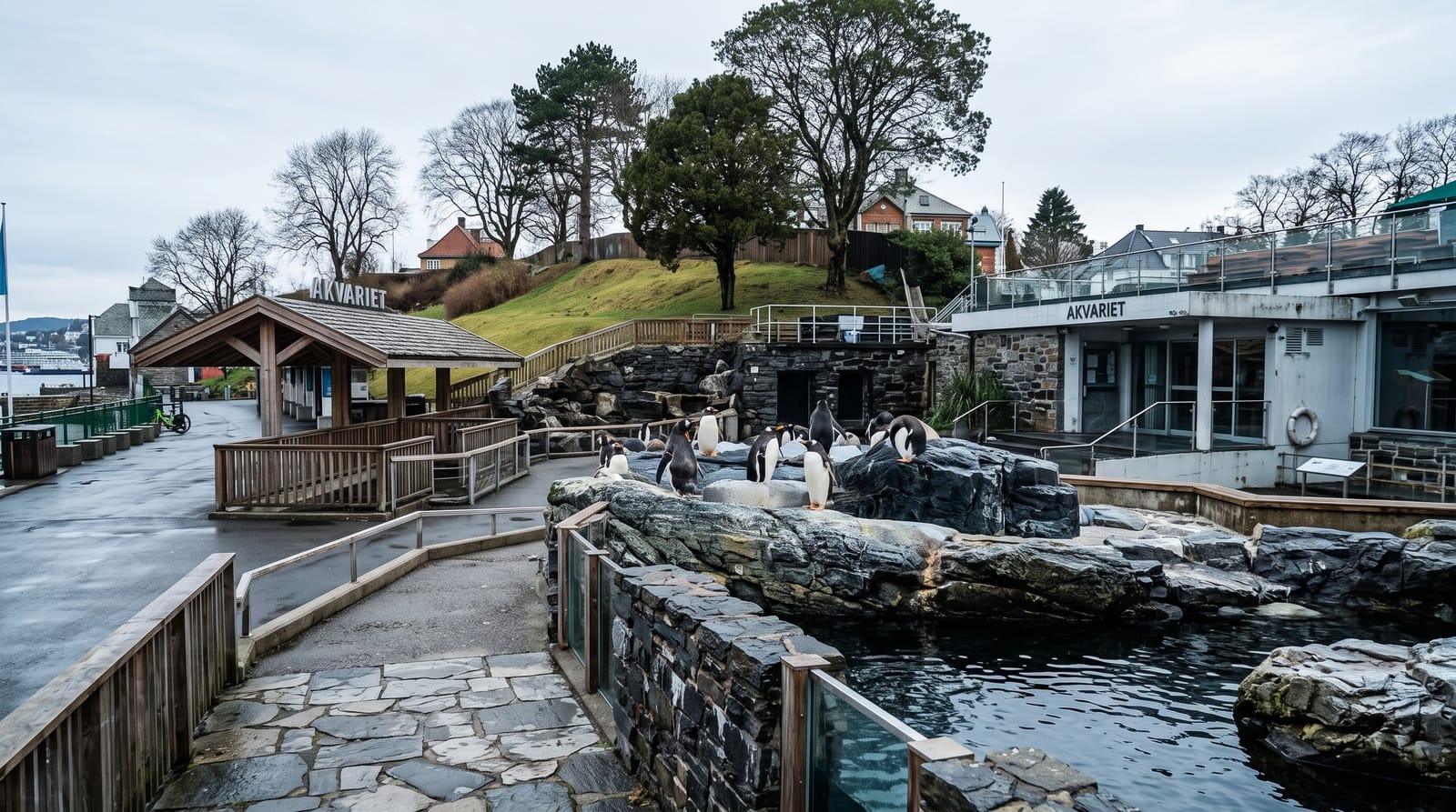 Bergen Aquarium