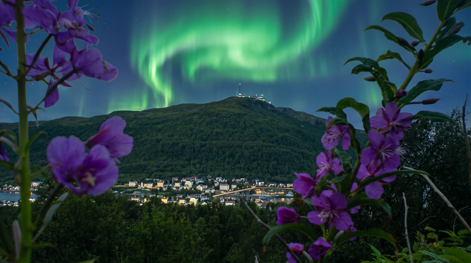 Fjellheisen Tromso