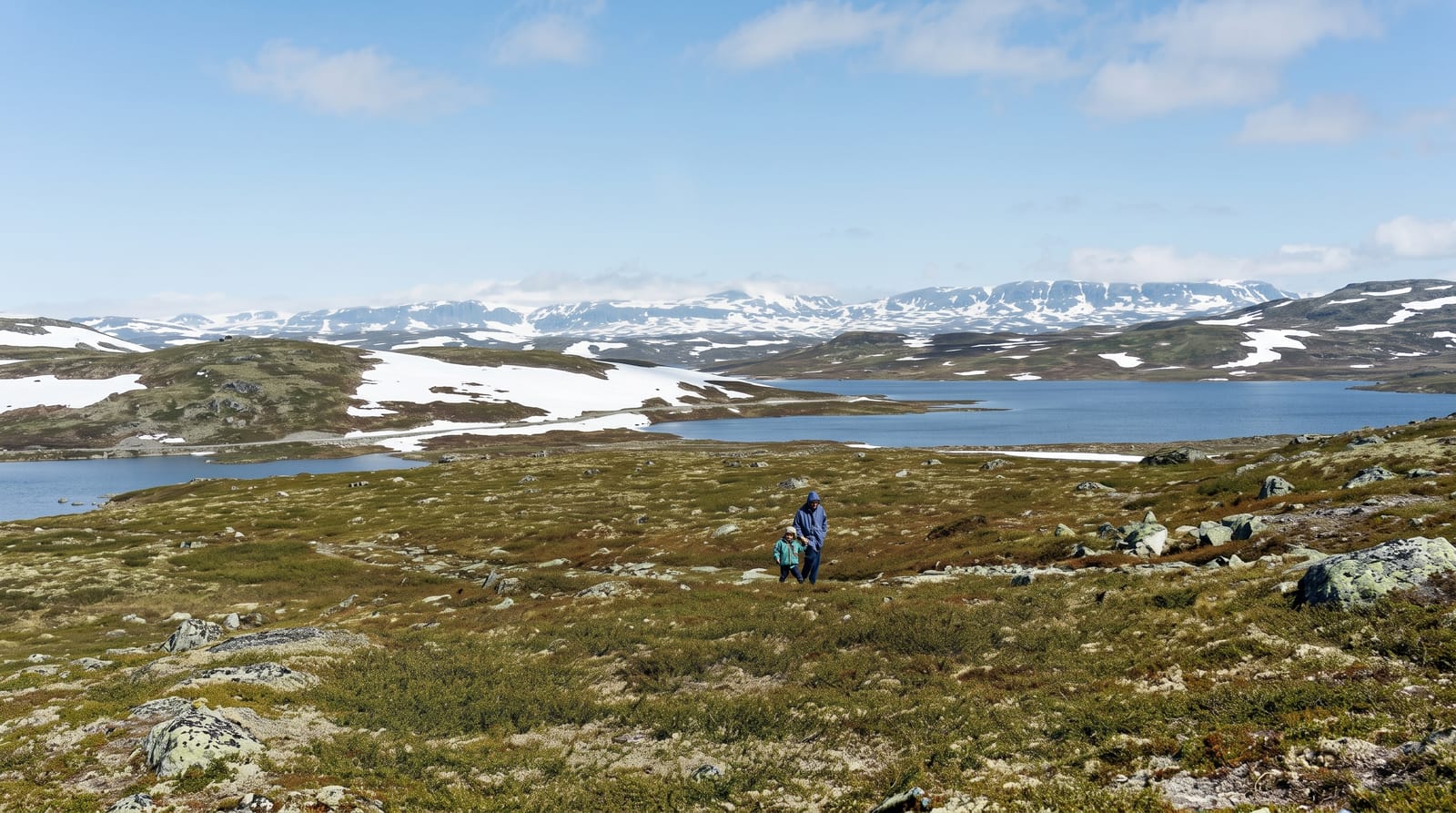 Hardangervidda