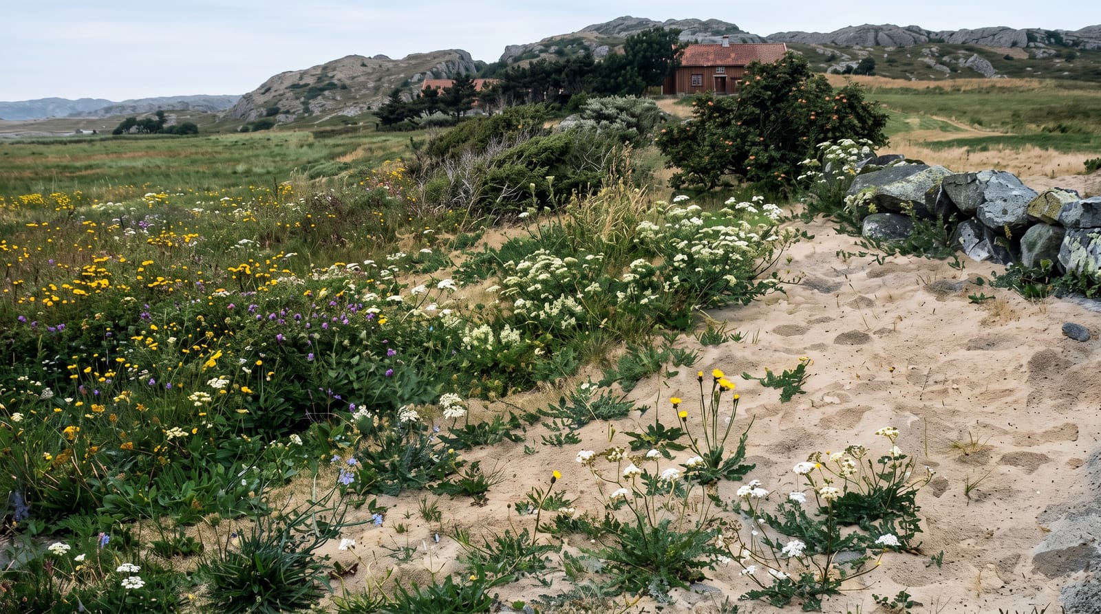 Jaeren Coast