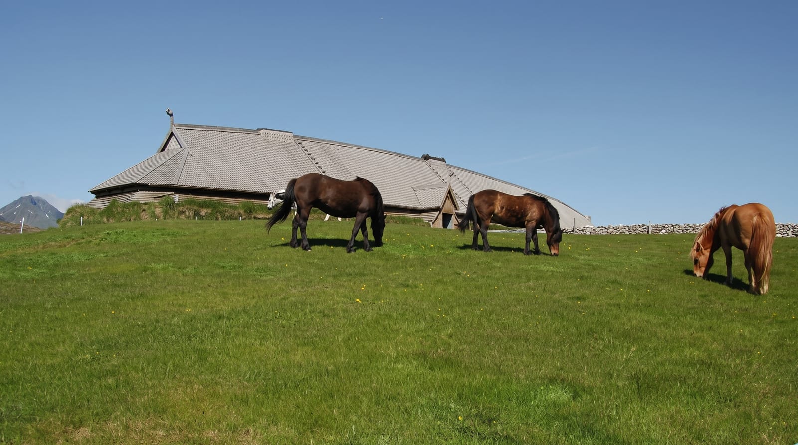 Lofotr Viking Museum