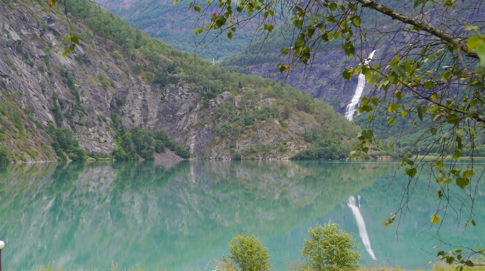 Lustrafjord