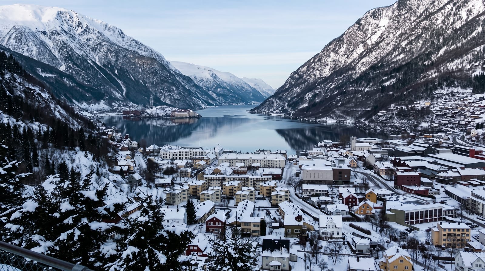 Odda