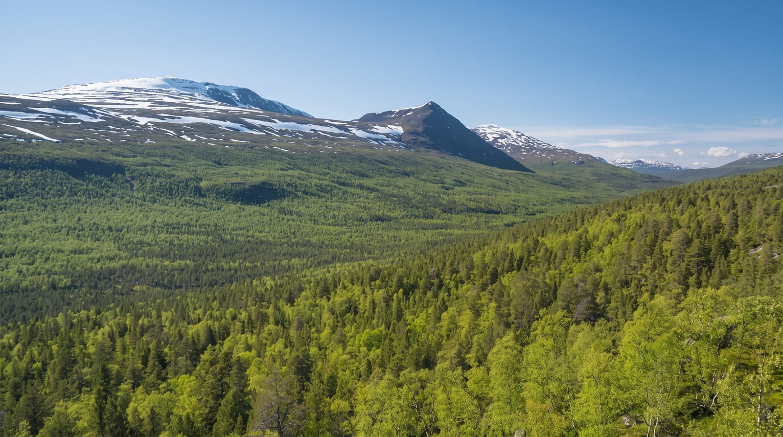 Ovre Dividal National Park