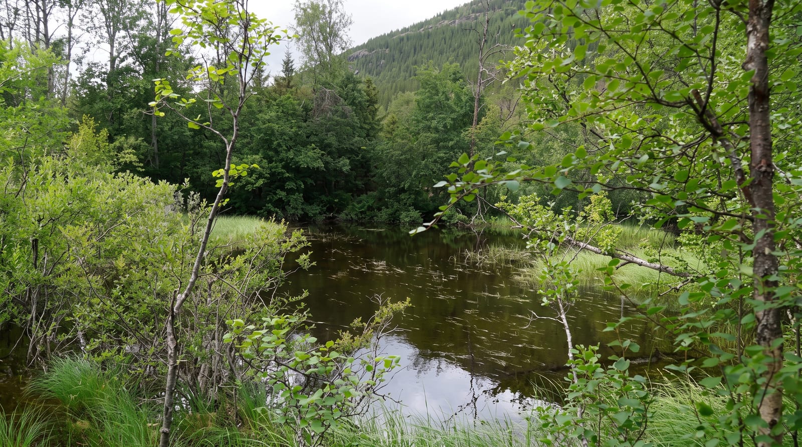 Reisa National Park
