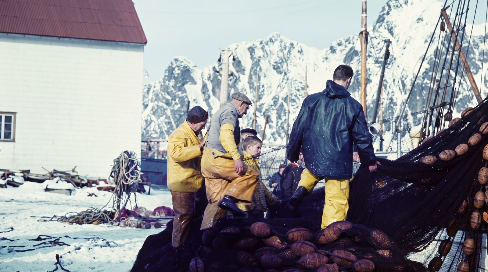 Skrei Season