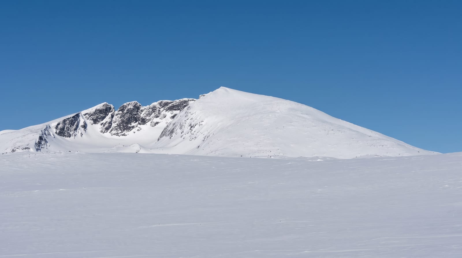 Snohetta