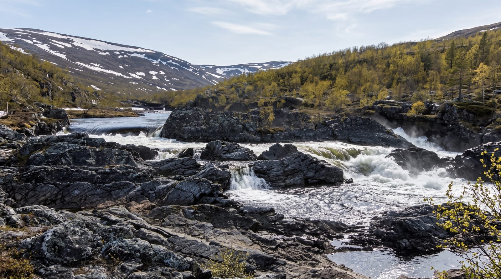 Stabbursdalen National Park
