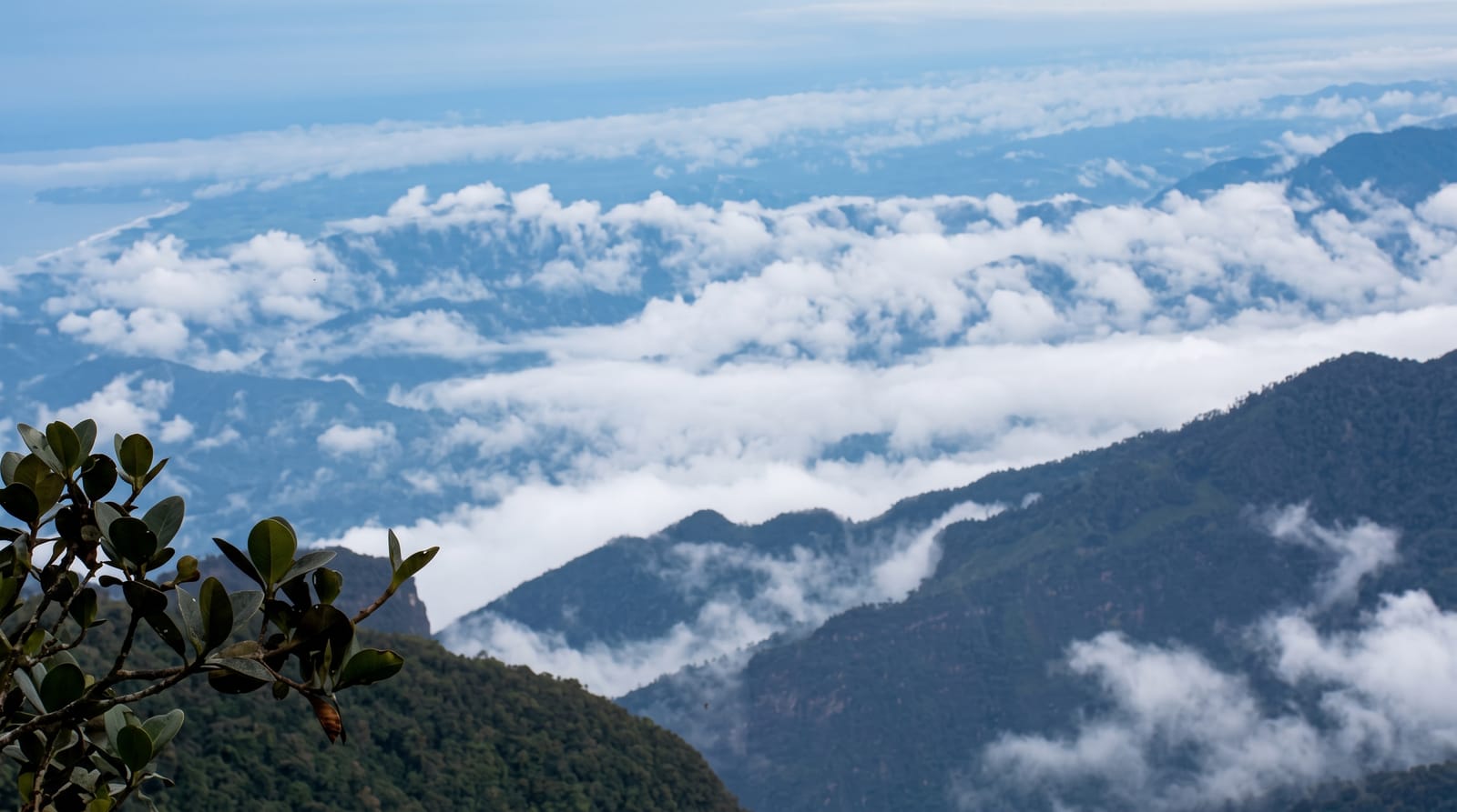 Cerro Hoya