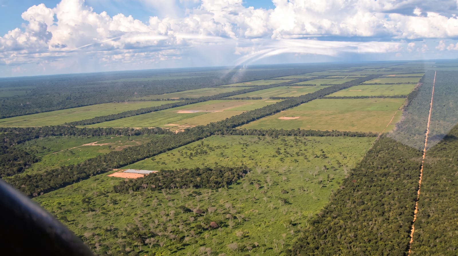 The Paraguayan Chaco