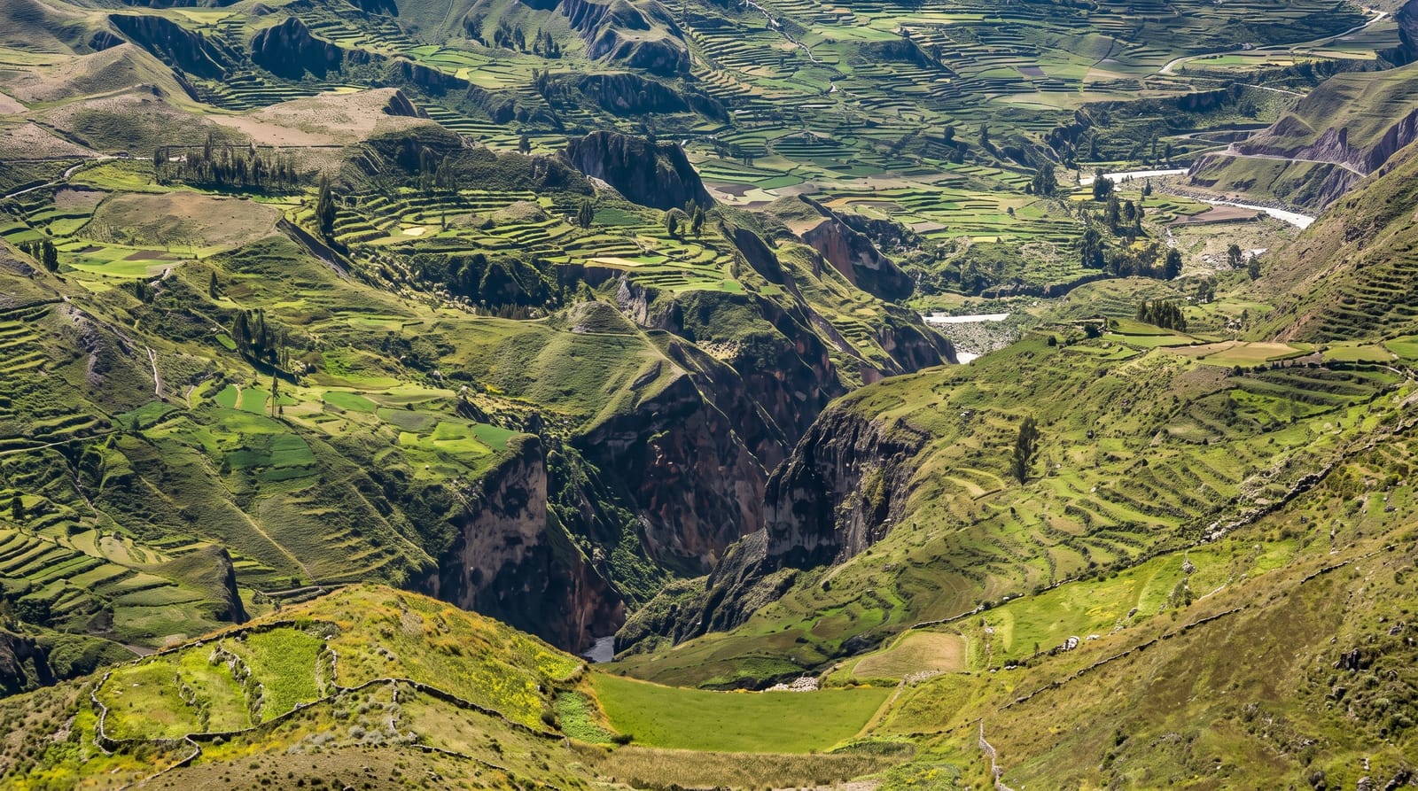 Colca Canyon